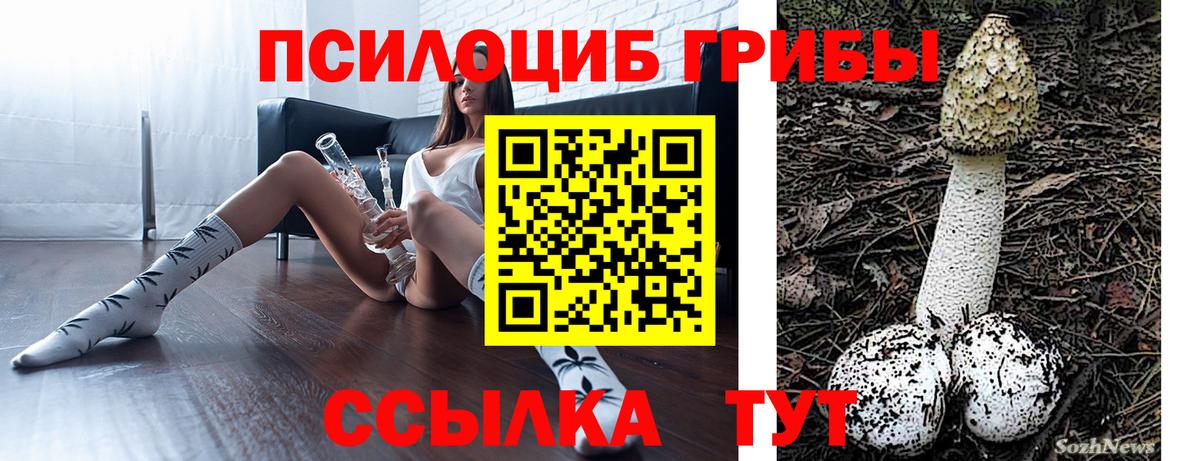 Галлюциногенные грибы прущие грибы  наркошоп  Гудермес  Вход с VPN 